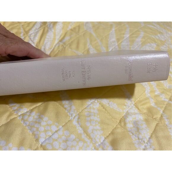 Dreamsicles Bible: New King James Version, leather bound - Picture 16 of 16